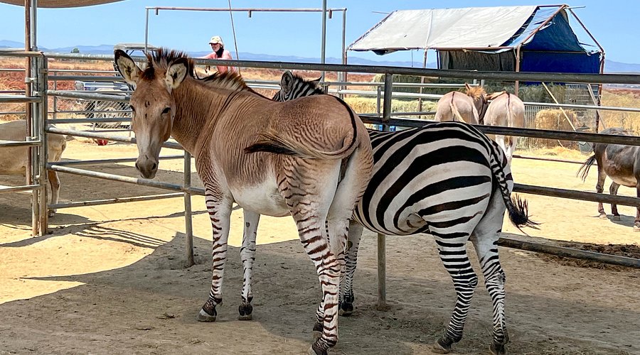 Attractions in Temecula, California (2025 Edition)